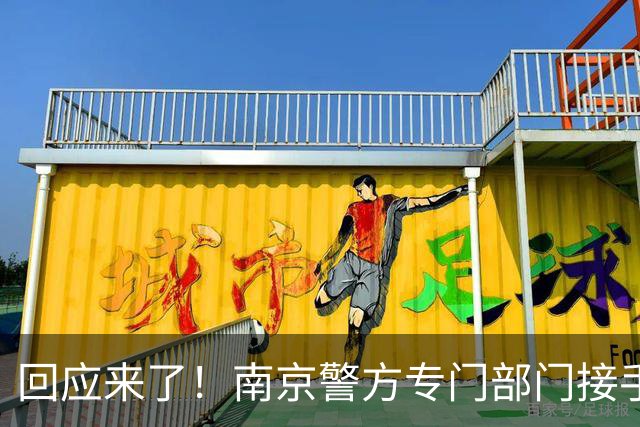 回应来了！南京警方专门部门接手，披旭日旗陈某会否面临法律追责