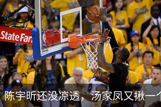 陈宇昕还没凉透，汤家凤又揪一个“精日”人员：竟然还是公司老板